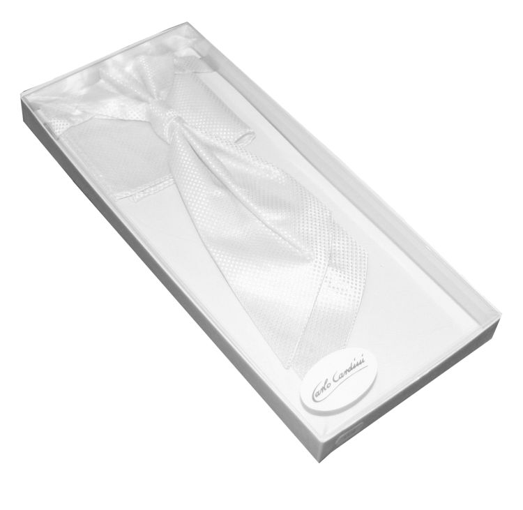 Plastron in ivory im Set mit Hochzeitsweste und Einstecktuch